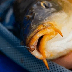 Fjuka Natural 2in1 200gram 8 Fjuka Natural 2in1 200gram -Professional Fishing Equipment Store 173e3a2163a6a35f