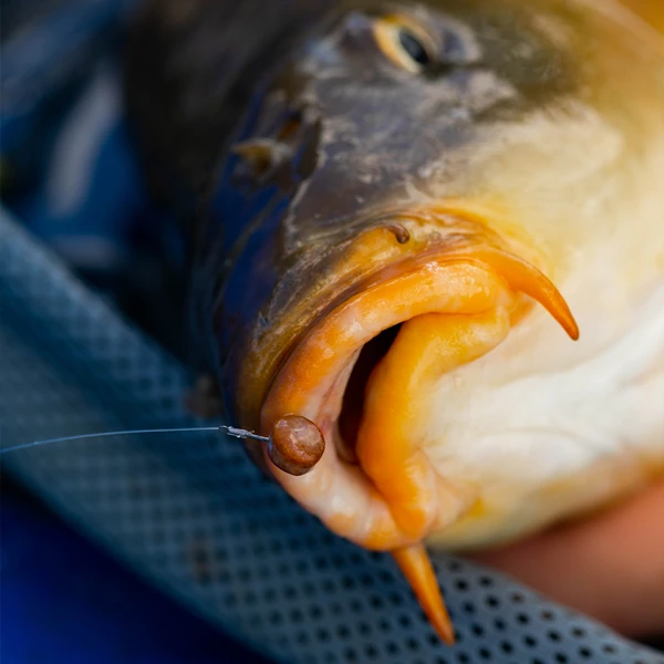 Fjuka Natural 2in1 200gram 4 Fjuka Natural 2in1 200gram - Image 4