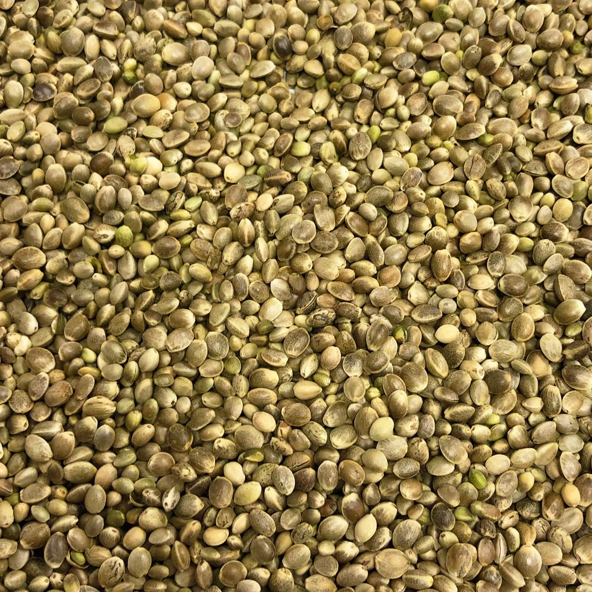 Vivani Particles 5 Kg 2 Vivani Particles 5 Kg - Image 2