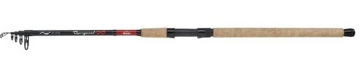 Berkley Cherrywood Spezi Eel Telescopic Rod 2.70m (30-60g) 1 Berkley Cherrywood Spezi Eel Telescopic Rod 2.70m (30-60g)