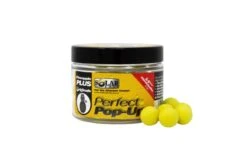 Solar Pop-Ups Pineapple