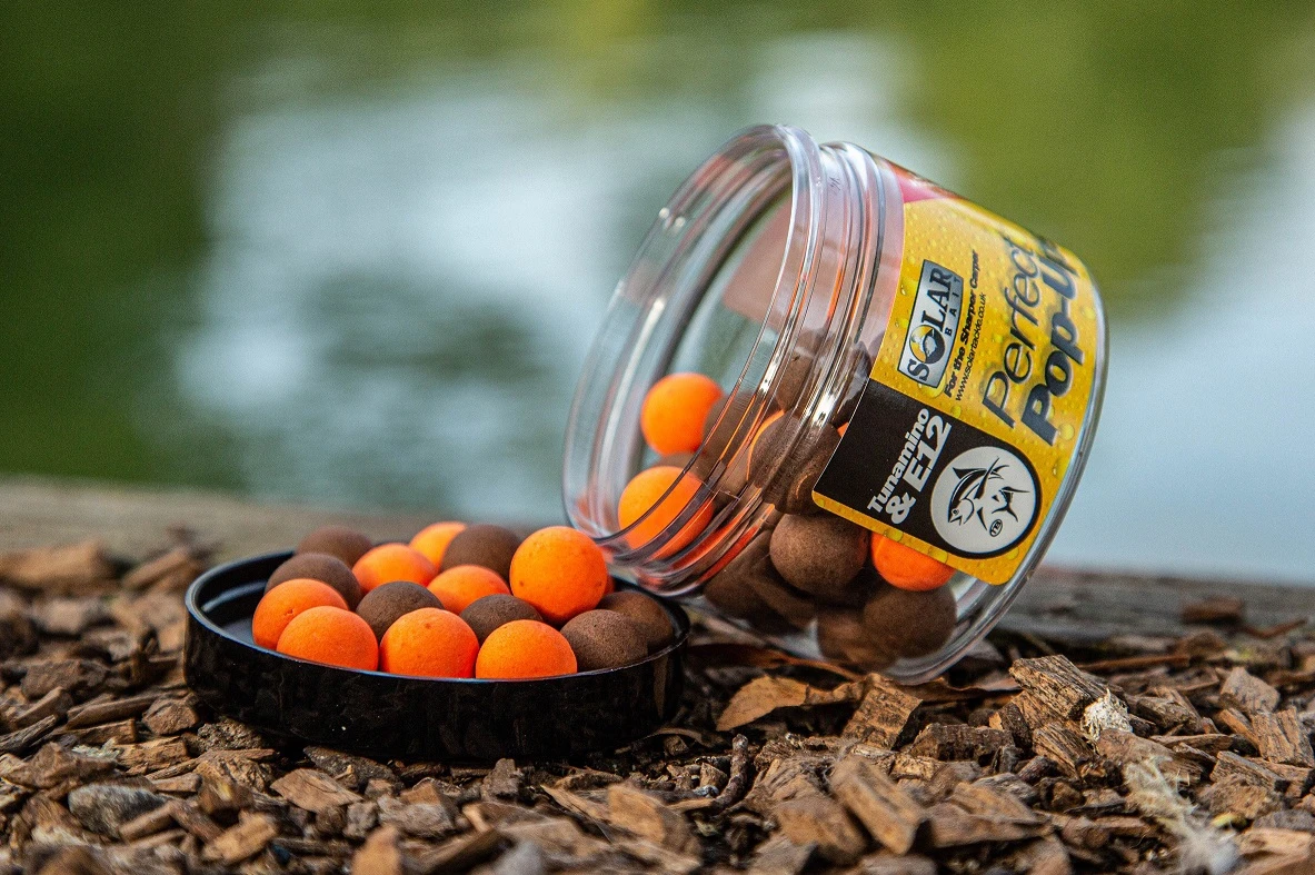 Solar Pop-Ups Tunamino & E12 2 Solar Pop-Ups Tunamino & E12 - Image 2