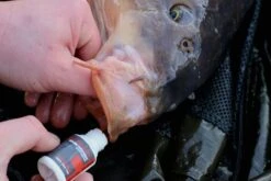 Ultimate All In One Wound Treatment -Professional Fishing Equipment Store 37cf17569d9f57f9