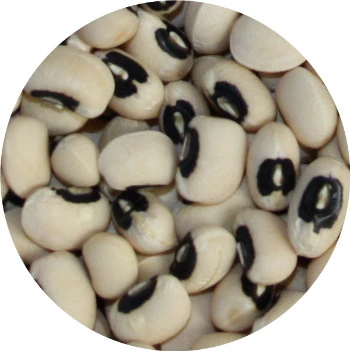 Vivani Particles 5 Kg 5 Vivani Particles 5 Kg - Image 5