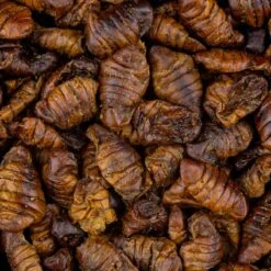 Vivani Dried Silkworms - 750 Gram 3 Vivani Dried Silkworms - 750 Gram -Professional Fishing Equipment Store 4a1860c9e3325b4f