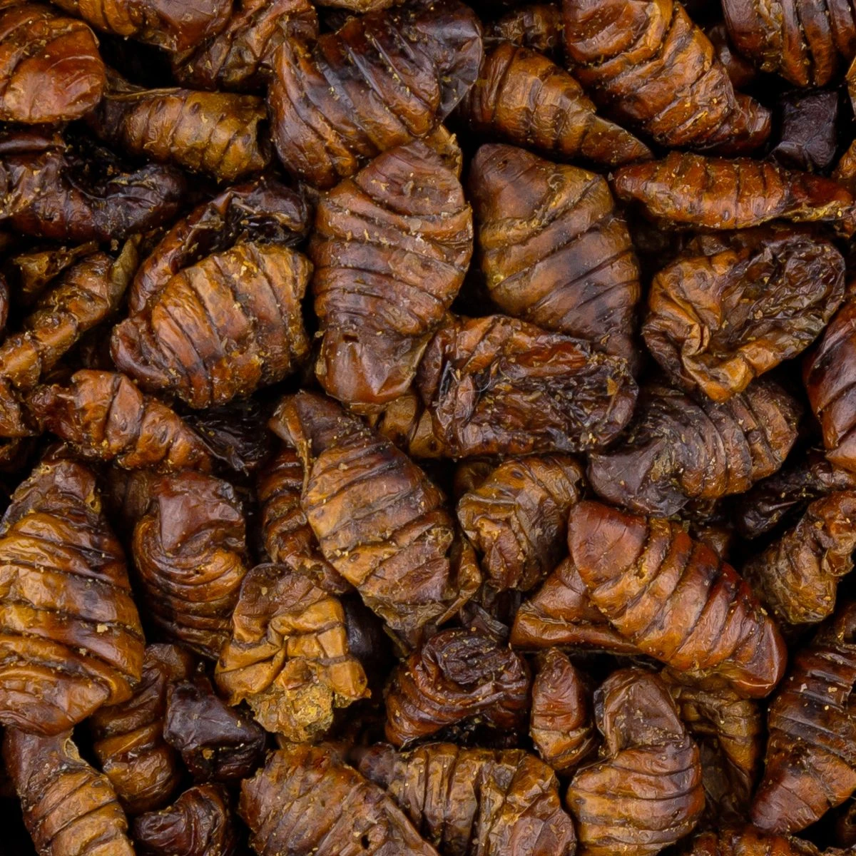 Vivani Dried Silkworms - 750 Gram 2 Vivani Dried Silkworms - 750 Gram - Image 2