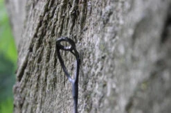 Ashima Travel FFX-S 10ft 3m 5 Ashima Travel FFX-S 10ft 3m -Professional Fishing Equipment Store 4a7d69384d52c63c