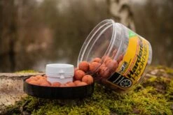 Solar Hardened Hookbaits Quench + Amino Liquid Booster (30ml)