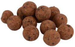 Premium Readymade The Nutz Boilies In 15 Or 20 Mm