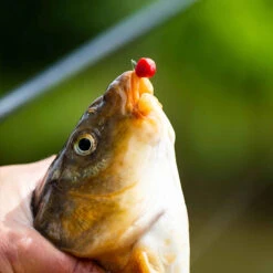 Fjuka 2in1 Fatboys 10mm 195gr Red -Professional Fishing Equipment Store 578ab09366f5b239