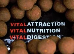 Vital Baits Boilies The Kraken (5kg) 7 Vital Baits Boilies The Kraken (5kg) -Professional Fishing Equipment Store 622cc31d70ebec7d