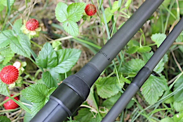 Ashima FFX-D 1 Ashima FFX-D