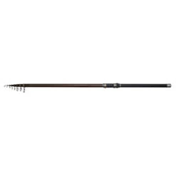 DAM Backbone II Stellfisch Telescopic Rod