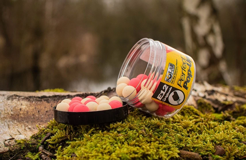 Solar Pop-Ups E12 1 Solar Pop-Ups E12