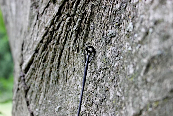 Ashima FFX-D 3 Ashima FFX-D - Image 3