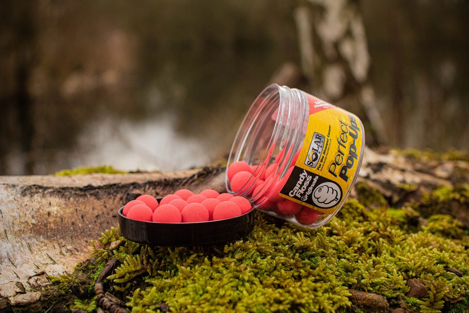 Solar Perfect Pop Ups 14mm 4 Solar Perfect Pop Ups 14mm - Image 4