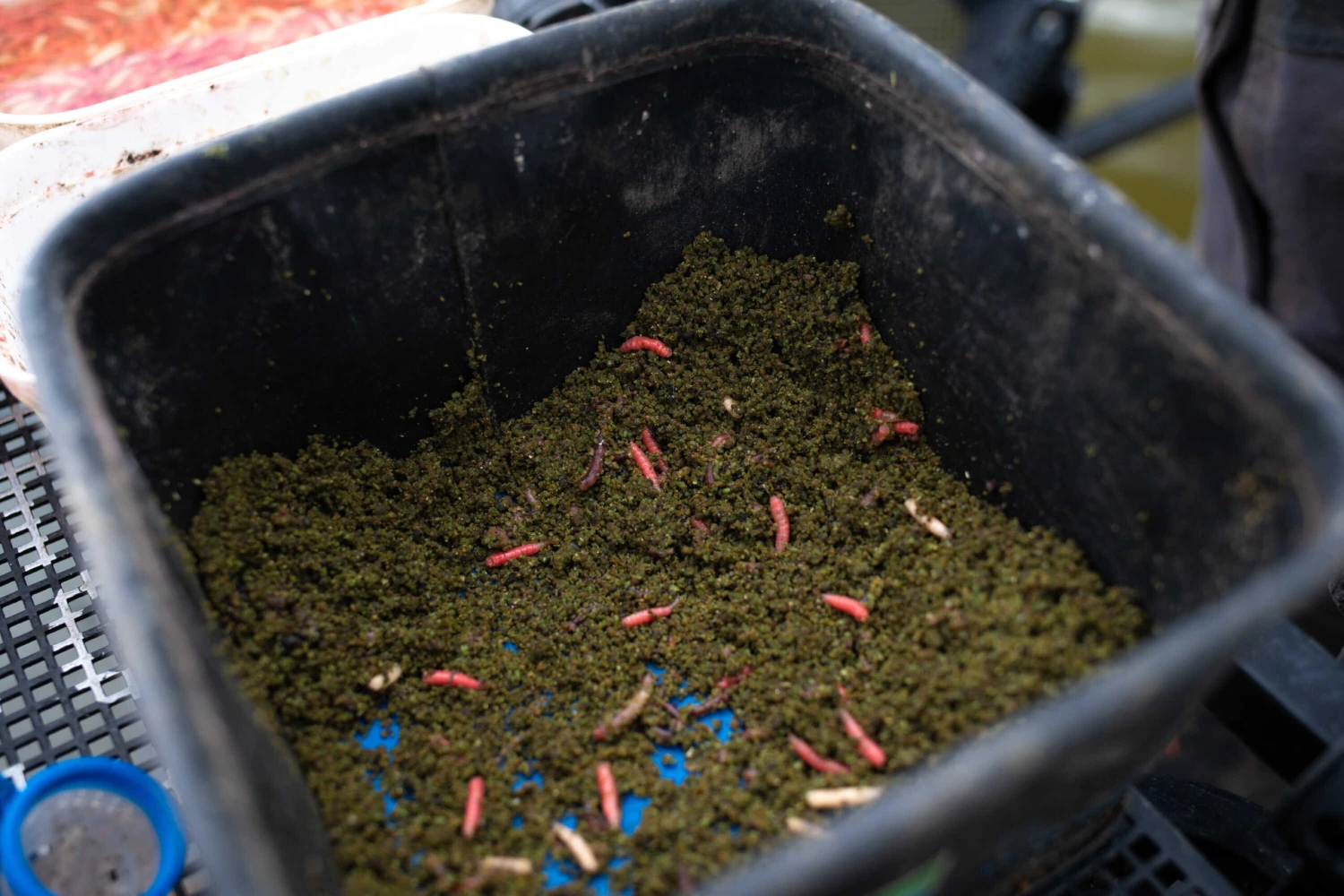 Sonubaits Pro Groundbait Thatchers Green (900g) 3 Sonubaits Pro Groundbait Thatchers Green (900g) - Image 3