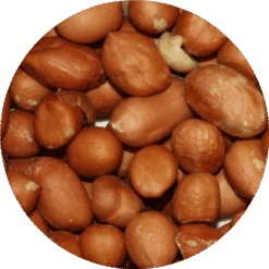 Vivani Particles 5 Kg 11 Vivani Particles 5 Kg -Professional Fishing Equipment Store c35f8be384a43107