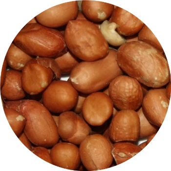 Vivani Particles 5 Kg 6 Vivani Particles 5 Kg - Image 6