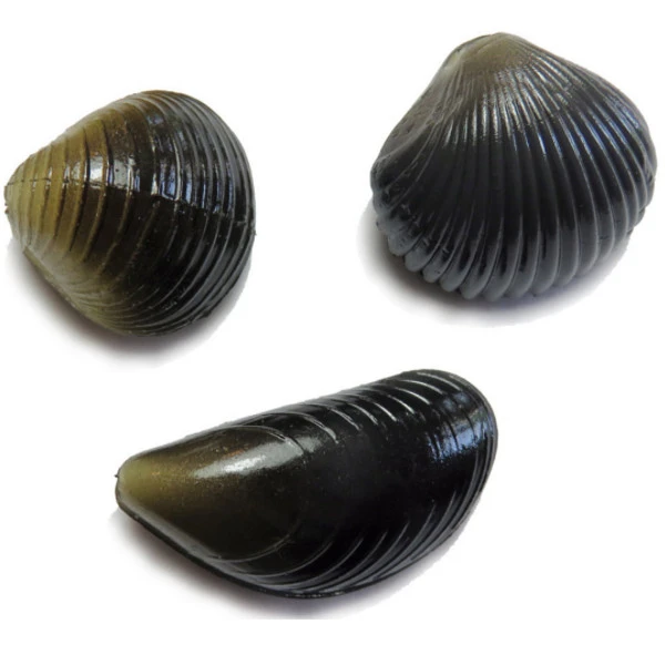 Behr Carp Imitation Mussels 1 Behr Carp Imitation Mussels