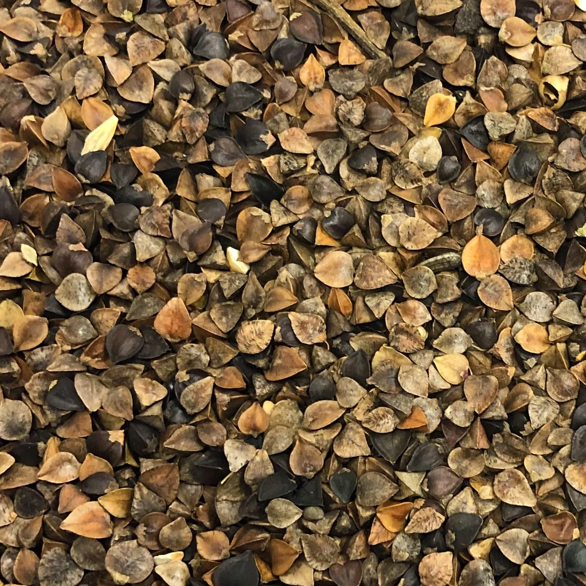 Vivani Particles 5 Kg 3 Vivani Particles 5 Kg - Image 3