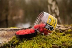 Solar Pop-Ups Club Mix