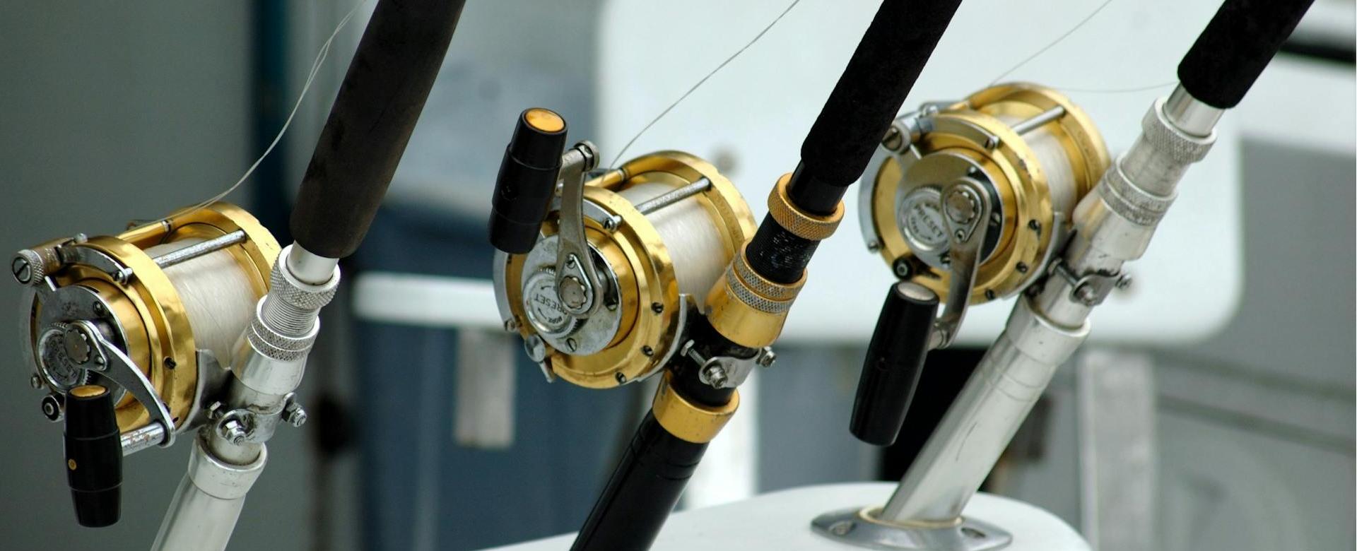 Professional Fishing Equipment Store -Professional Fishing Equipment Store pexels pixabay 209810